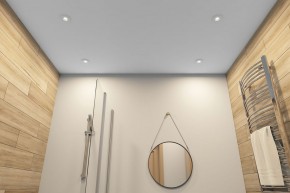 DK2036-WH Встраиваемый светильник влагозащ., IP 44, до 15 Вт, GU10, LED, белый, алюминий в Коротчаево - korotchaevo.ok-mebel.com | фото 5