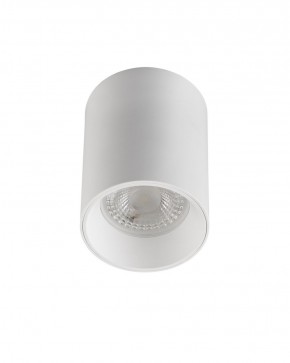 DK3110-WH Светильник накладной IP 20, 10 Вт, GU5.3, LED, белый, пластик в Коротчаево - korotchaevo.ok-mebel.com | фото