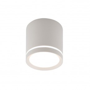 DK4013-WH Светильник накладной IP 20, 5 Вт, LED 4000, белый, алюминий/акрил в Коротчаево - korotchaevo.ok-mebel.com | фото