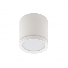 DK4013-WH Светильник накладной IP 20, 5 Вт, LED 4000, белый, алюминий/акрил в Коротчаево - korotchaevo.ok-mebel.com | фото 2