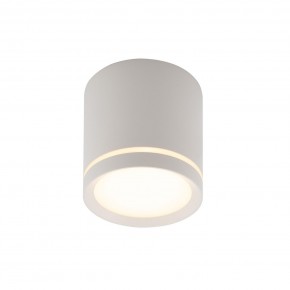 DK4016-WH Светильник накладной IP 20, 5 Вт, LED 3000, белый, алюминий/акрил в Коротчаево - korotchaevo.ok-mebel.com | фото