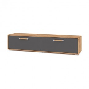 ФЛОРИДА Гостиная (модульная) дуб золотой/графит в Коротчаево - korotchaevo.ok-mebel.com | фото 5