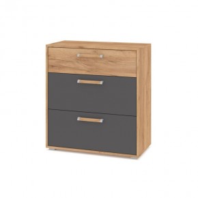 ФЛОРИДА Гостиная (модульная) дуб золотой/графит в Коротчаево - korotchaevo.ok-mebel.com | фото 8