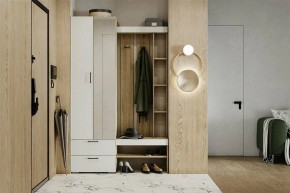 Гарнитур для прихожей Торонто в Коротчаево - korotchaevo.ok-mebel.com | фото 5