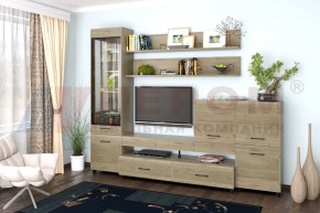Гостиная Камелия Композиция 5 (Гикори Джексон светлый) в Коротчаево - korotchaevo.ok-mebel.com | фото