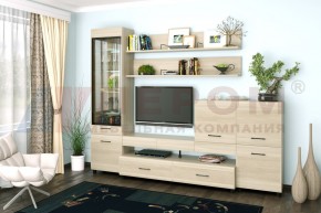 Гостиная Камелия Композиция 5 (Ясень Асахи) в Коротчаево - korotchaevo.ok-mebel.com | фото