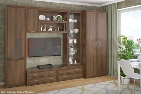 Гостиная Карина Композиция 16 (Акация Молдау) в Коротчаево - korotchaevo.ok-mebel.com | фото