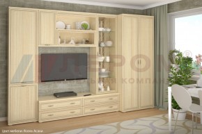 Гостиная Карина Композиция 16 (Ясень Асахи) в Коротчаево - korotchaevo.ok-mebel.com | фото