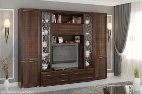 Гостиная Карина Композиция 19 (Акация Молдау) в Коротчаево - korotchaevo.ok-mebel.com | фото 5