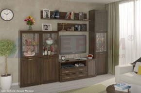 Гостиная Карина Композиция 22 (Акация Молдау) в Коротчаево - korotchaevo.ok-mebel.com | фото