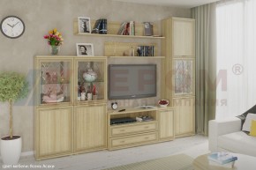 Гостиная Карина Композиция 22 (Ясень Асахи) в Коротчаево - korotchaevo.ok-mebel.com | фото