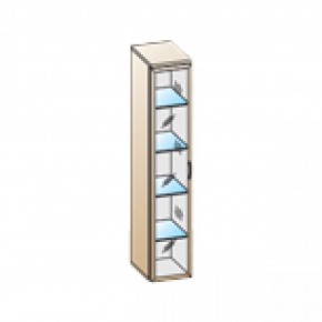 Гостиная Карина Композиция 3 (Акация Молдау) в Коротчаево - korotchaevo.ok-mebel.com | фото 6