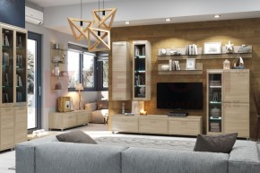 Гостиная Мелисса Композиция 3 (Ясень Асахи) в Коротчаево - korotchaevo.ok-mebel.com | фото
