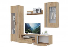 Гостиная Омега (Крафт золотой-Бетон) в Коротчаево - korotchaevo.ok-mebel.com | фото 4