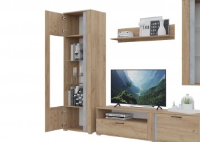 Гостиная Омега (Крафт золотой-Бетон) в Коротчаево - korotchaevo.ok-mebel.com | фото 5