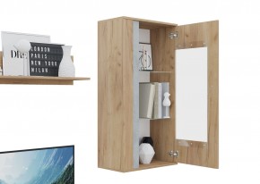 Гостиная Омега (Крафт золотой-Бетон) в Коротчаево - korotchaevo.ok-mebel.com | фото 6
