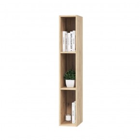 Гостиная СКАНДИ №СС-9 (без панно) в Коротчаево - korotchaevo.ok-mebel.com | фото 2