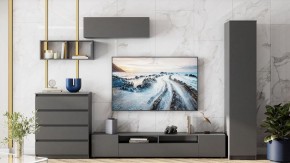 Комод Сибити в Коротчаево - korotchaevo.ok-mebel.com | фото 5