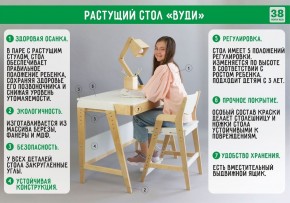 Комплект растущий стол и стул с чехлом 38 попугаев «Вуди» (Серый, Береза, Салют) в Коротчаево - korotchaevo.ok-mebel.com | фото
