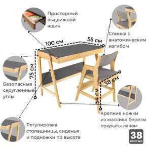 Комплект растущий стол и стул с чехлом 38 попугаев «Вуди» (Серый, Береза, Серый) в Коротчаево - korotchaevo.ok-mebel.com | фото