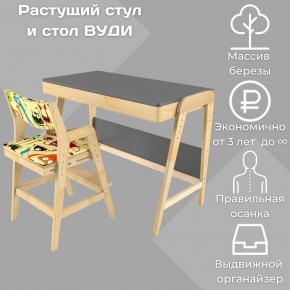 Комплект растущий стол и стул с чехлом 38 попугаев «Вуди» (Серый, Без покрытия, Монстры) в Коротчаево - korotchaevo.ok-mebel.com | фото