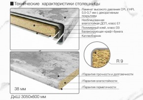 Кухонный фартук со столешницей (А-01) в едином стиле (3050 мм) в Коротчаево - korotchaevo.ok-mebel.com | фото 6