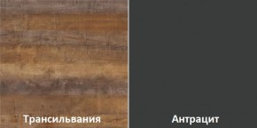 Кухонный гарнитур угловой Трансильвания 2600х1600 мм (Стол. 26 мм) в Коротчаево - korotchaevo.ok-mebel.com | фото 3