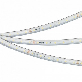 Лента светодиодная Arlight IC-PS-A60-10mm 24V 050656 в Коротчаево - korotchaevo.ok-mebel.com | фото