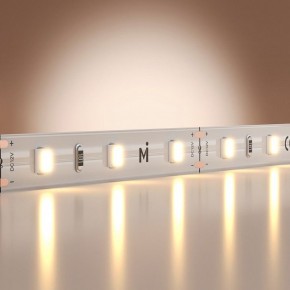 Лента светодиодная Maytoni Base 201162 в Коротчаево - korotchaevo.ok-mebel.com | фото