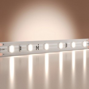 Лента светодиодная Maytoni Base 201179 в Коротчаево - korotchaevo.ok-mebel.com | фото