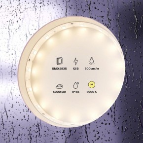 Лента светодиодная Maytoni Led strip 10105 в Коротчаево - korotchaevo.ok-mebel.com | фото 2