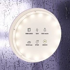 Лента светодиодная Maytoni Led strip 10106 в Коротчаево - korotchaevo.ok-mebel.com | фото 2