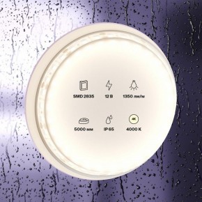 Лента светодиодная Maytoni Led strip 10118 в Коротчаево - korotchaevo.ok-mebel.com | фото 2