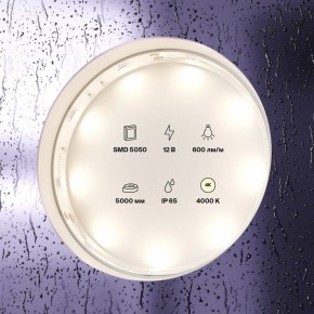 Лента светодиодная Maytoni Led strip 10124 в Коротчаево - korotchaevo.ok-mebel.com | фото 3