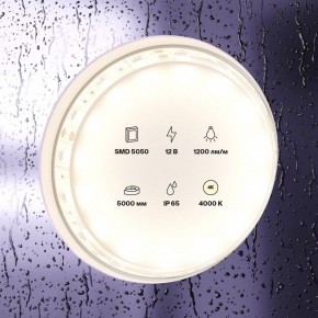 Лента светодиодная Maytoni Led strip 10132 в Коротчаево - korotchaevo.ok-mebel.com | фото 2
