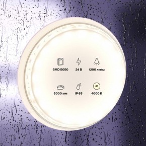Лента светодиодная Maytoni Led strip 10172 в Коротчаево - korotchaevo.ok-mebel.com | фото 2