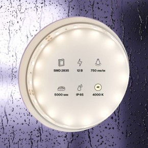 Лента светодиодная Maytoni Led strip 20005 в Коротчаево - korotchaevo.ok-mebel.com | фото 2
