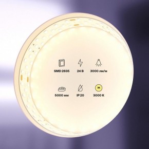 Лента светодиодная Maytoni Led strip 20031 в Коротчаево - korotchaevo.ok-mebel.com | фото 2