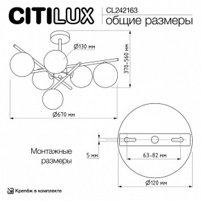 Люстра на штанге Citilux RONNY CL242163 в Коротчаево - korotchaevo.ok-mebel.com | фото 12