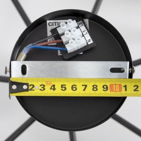 Люстра на штанге Citilux Стивен CL141271 в Коротчаево - korotchaevo.ok-mebel.com | фото 13