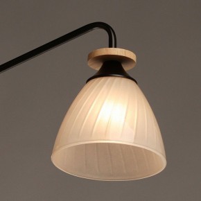 Люстра на штанге De City Дэла 15 635018105 в Коротчаево - korotchaevo.ok-mebel.com | фото 4