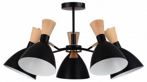 Люстра на штанге EVOLUCE VISTA SLE1256-402-05 в Коротчаево - korotchaevo.ok-mebel.com | фото