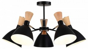 Люстра на штанге EVOLUCE VISTA SLE1256-402-05 в Коротчаево - korotchaevo.ok-mebel.com | фото 2