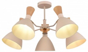 Люстра на штанге EVOLUCE VISTA SLE1256-502-05 в Коротчаево - korotchaevo.ok-mebel.com | фото 6