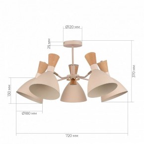 Люстра на штанге EVOLUCE VISTA SLE1256-502-05 в Коротчаево - korotchaevo.ok-mebel.com | фото 8