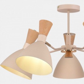 Люстра на штанге EVOLUCE VISTA SLE1256-502-05 в Коротчаево - korotchaevo.ok-mebel.com | фото 9