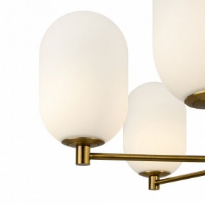 Люстра на штанге Freya Sharlot FR1012PL-06BS в Коротчаево - korotchaevo.ok-mebel.com | фото 5