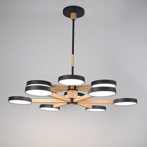 Люстра на штанге Imperiumloft TURNA Black TURNA-DBL01 в Коротчаево - korotchaevo.ok-mebel.com | фото 2