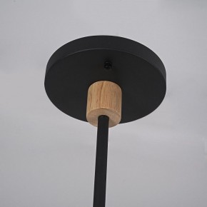 Люстра на штанге Imperiumloft TURNA Black TURNA-DBL01 в Коротчаево - korotchaevo.ok-mebel.com | фото 9