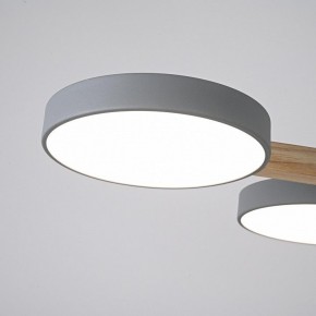 Люстра на штанге Imperiumloft TURNA Gray TURNA-B01 в Коротчаево - korotchaevo.ok-mebel.com | фото 7